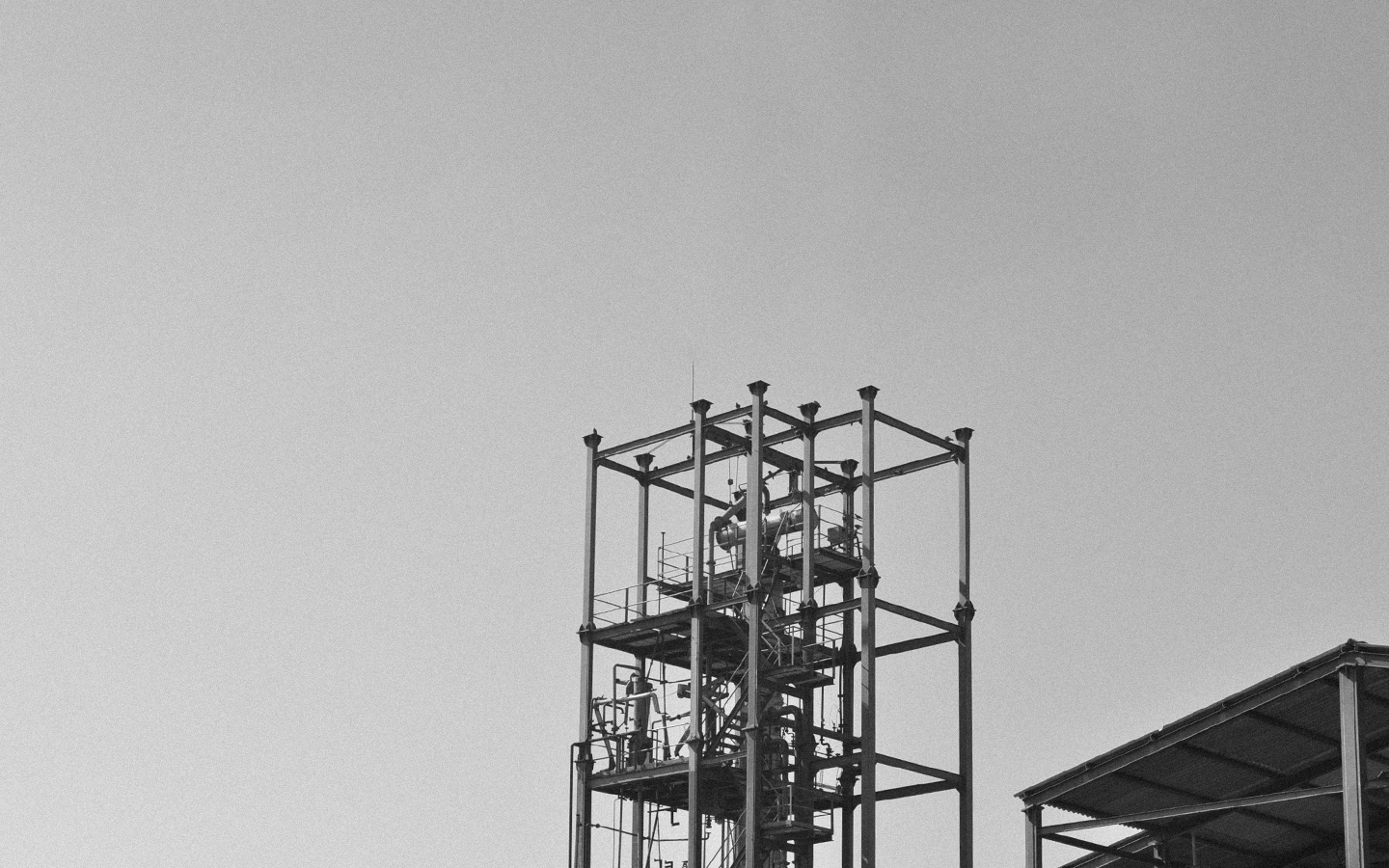 company-banner