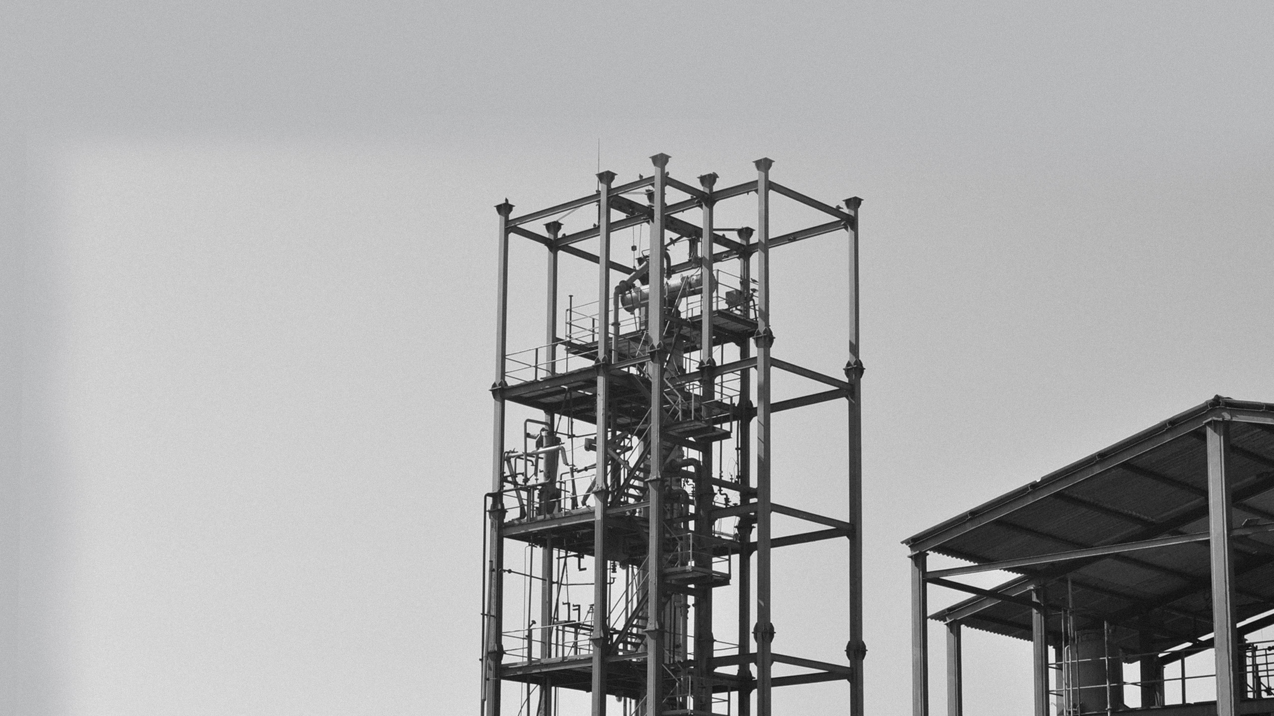 company-banner